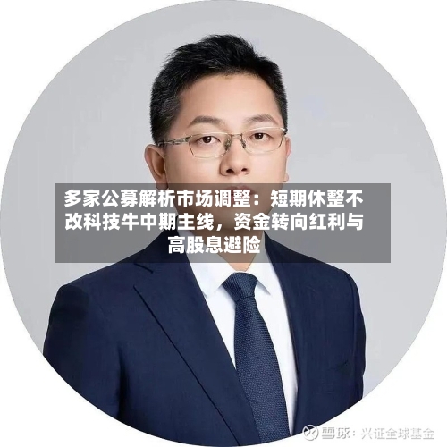 多家公募解析市场调整：短期休整不改科技牛中期主线，资金转向红利与高股息避险-第2张图片