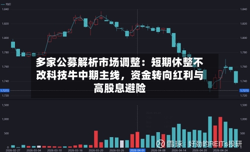 多家公募解析市场调整：短期休整不改科技牛中期主线	，资金转向红利与高股息避险-第3张图片