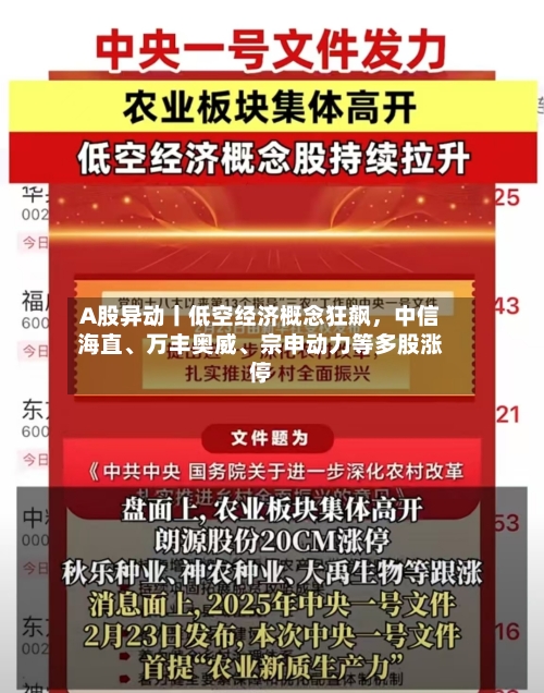 A股异动丨低空经济概念狂飙	，中信海直	、万丰奥威、宗申动力等多股涨停-第2张图片