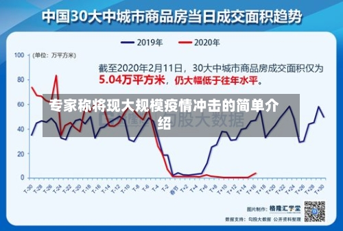 专家称将现大规模疫情冲击的简单介绍