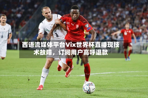 西语流媒体平台Vix世界杯直播现技术故障，订阅用户高呼退款-第2张图片