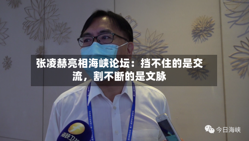 张凌赫亮相海峡论坛：挡不住的是交流，割不断的是文脉-第3张图片