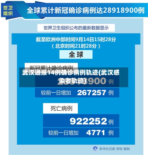 武汉通报14例确诊病例轨迹(武汉感染者轨迹)-第2张图片
