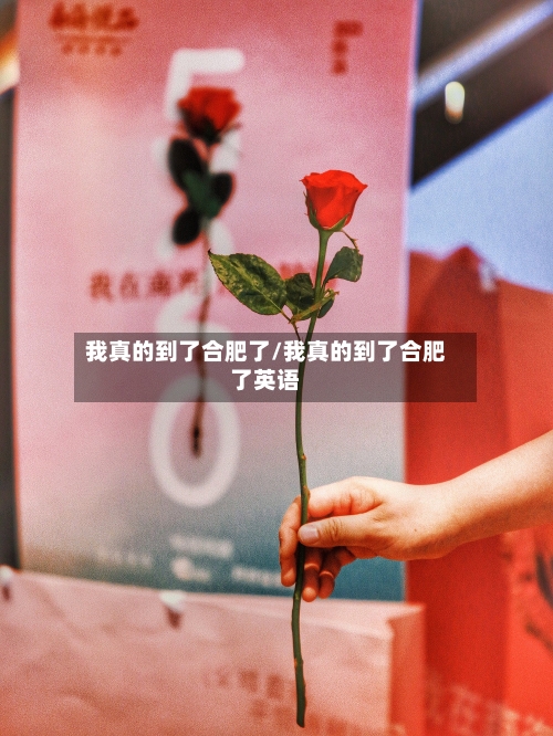 我真的到了合肥了/我真的到了合肥了英语