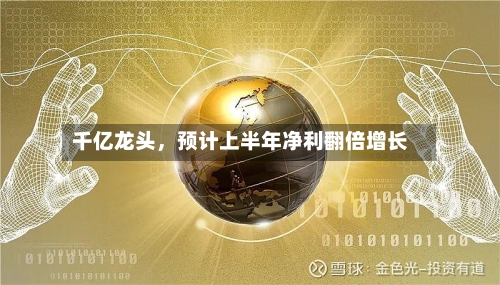 千亿龙头，预计上半年净利翻倍增长-第3张图片