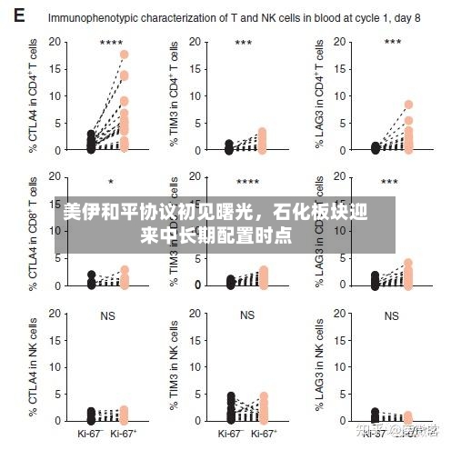 美伊和平协议初见曙光	，石化板块迎来中长期配置时点-第3张图片