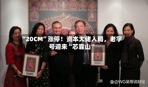 “20CM”涨停！资本大佬入局，老字号迎来“芯靠山	”-第3张图片