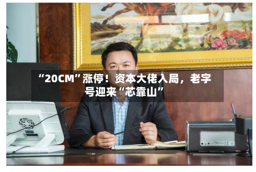 “20CM	”涨停！资本大佬入局，老字号迎来“芯靠山”-第2张图片