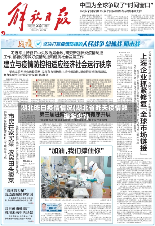 湖北昨日疫情情况(湖北省昨天疫情数据多少?)-第3张图片