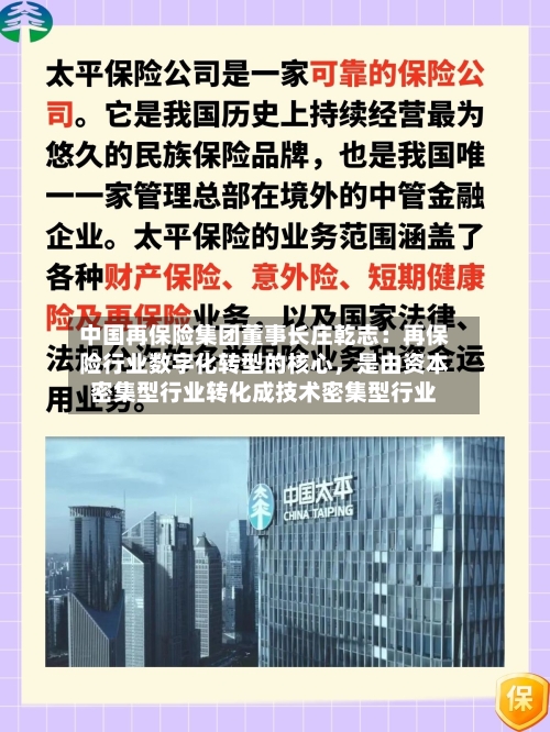 中国再保险集团董事长庄乾志：再保险行业数字化转型的核心，是由资本密集型行业转化成技术密集型行业-第2张图片