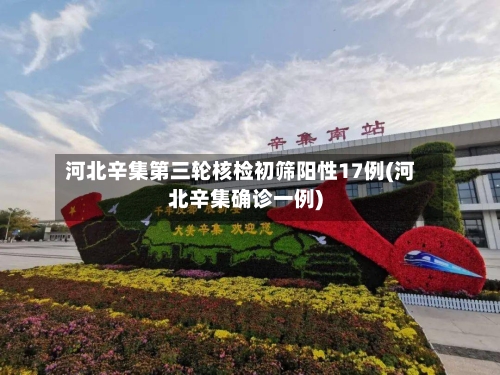 河北辛集第三轮核检初筛阳性17例(河北辛集确诊一例)-第2张图片