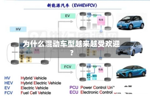 为什么混动车型越来越受欢迎？-第2张图片