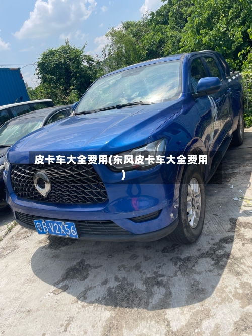 皮卡车大全费用(东风皮卡车大全费用)
