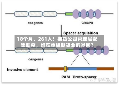 18个月，261人！期货公司管理层密集调整	，谁在重组期货业的基因？-第2张图片