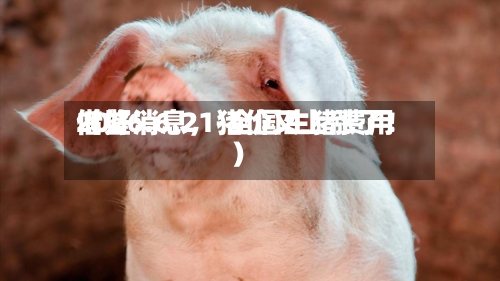 2026.6.21-全国生猪费用借鉴（好消息	，猪价又上涨了！）-第2张图片