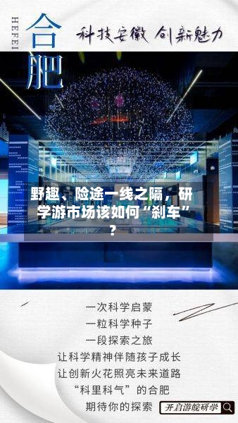 野趣	、险途一线之隔，研学游市场该如何“刹车”？-第2张图片