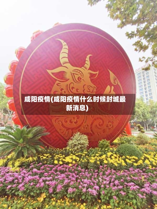 咸阳疫情(咸阳疫情什么时候封城最新消息)
