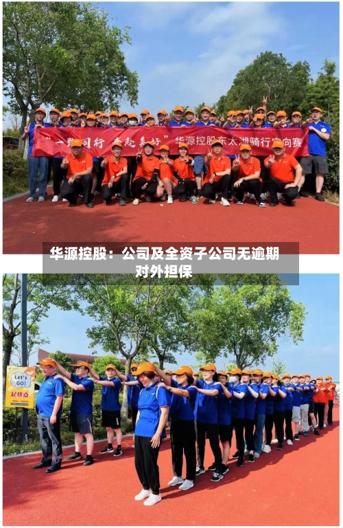 华源控股：公司及全资子公司无逾期对外担保-第2张图片