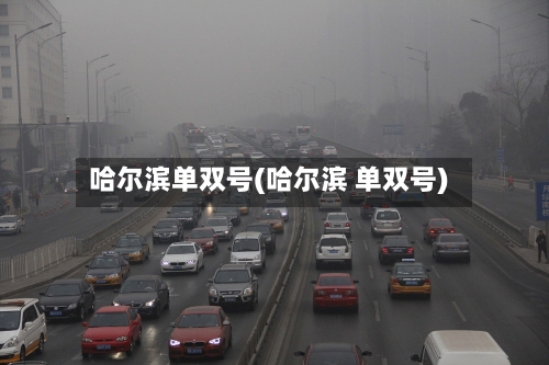 哈尔滨单双号(哈尔滨 单双号)
