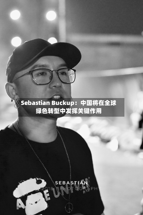Sebastian Buckup：中国将在全球绿色转型中发挥关键作用-第2张图片