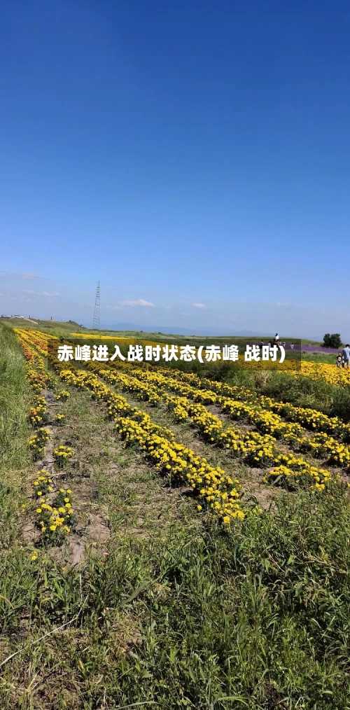 赤峰进入战时状态(赤峰 战时)-第2张图片