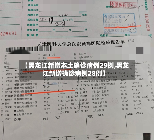 【黑龙江新增本土确诊病例29例,黑龙江新增确诊病例28例】