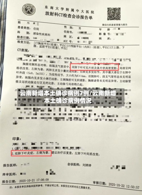 云南新增本土确诊病例7例/云南新增本土确诊病例情况-第3张图片