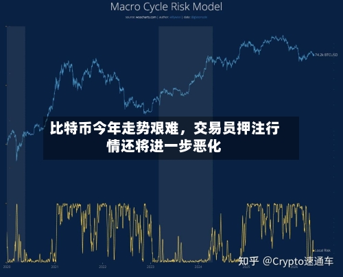比特币今年走势艰难	，交易员押注行情还将进一步恶化-第1张图片