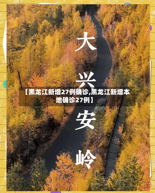 【黑龙江新增27例确诊,黑龙江新增本地确诊27例】-第2张图片
