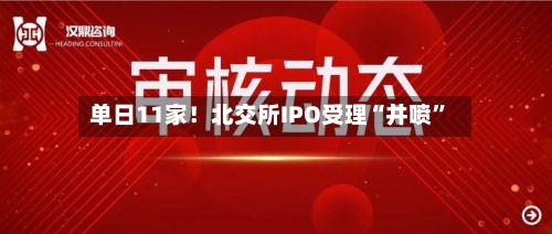 单日11家！北交所IPO受理“井喷”-第2张图片