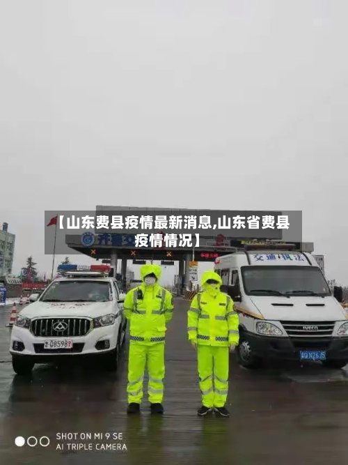 【山东费县疫情最新消息,山东省费县疫情情况】-第3张图片
