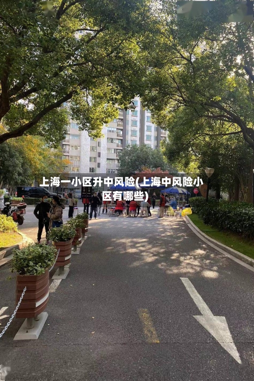 上海一小区升中风险(上海中风险小区有哪些)