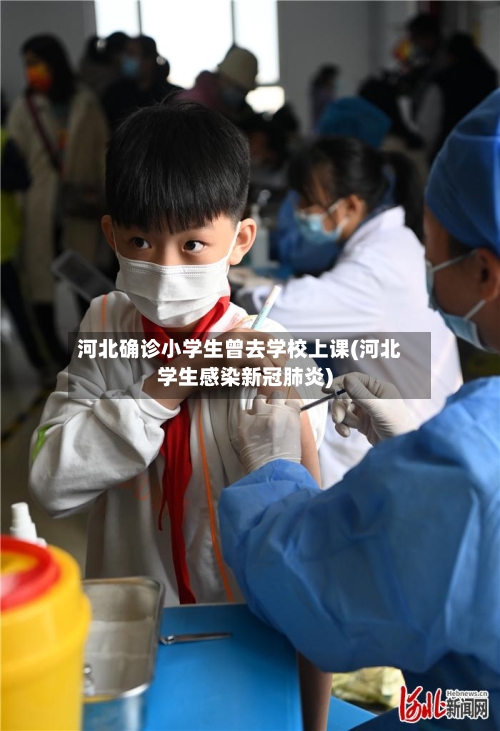 河北确诊小学生曾去学校上课(河北学生感染新冠肺炎)-第3张图片