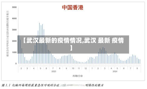 【武汉最新的疫情情况,武汉 最新 疫情】
