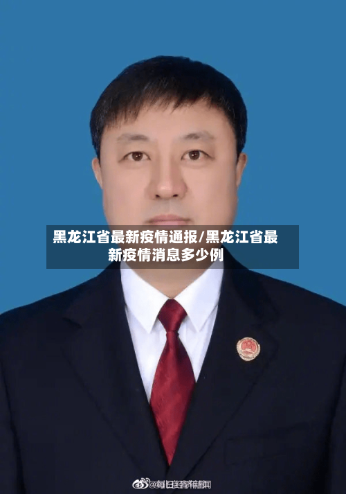 黑龙江省最新疫情通报/黑龙江省最新疫情消息多少例-第2张图片