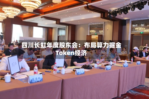 四川长虹年度股东会：布局算力掘金Token经济-第1张图片
