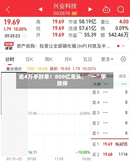 逾4万手封单！800亿龙头，“一”字跌停-第2张图片
