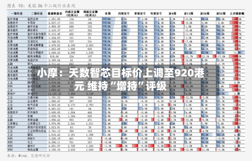 小摩：天数智芯目标价上调至920港元 维持“增持”评级-第1张图片