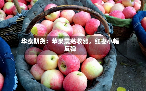 华泰期货：苹果震荡收涨	，红枣小幅反弹-第1张图片