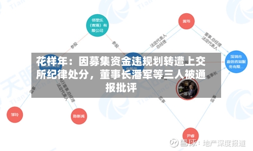 花样年：因募集资金违规划转遭上交所纪律处分，董事长潘军等三人被通报批评-第3张图片
