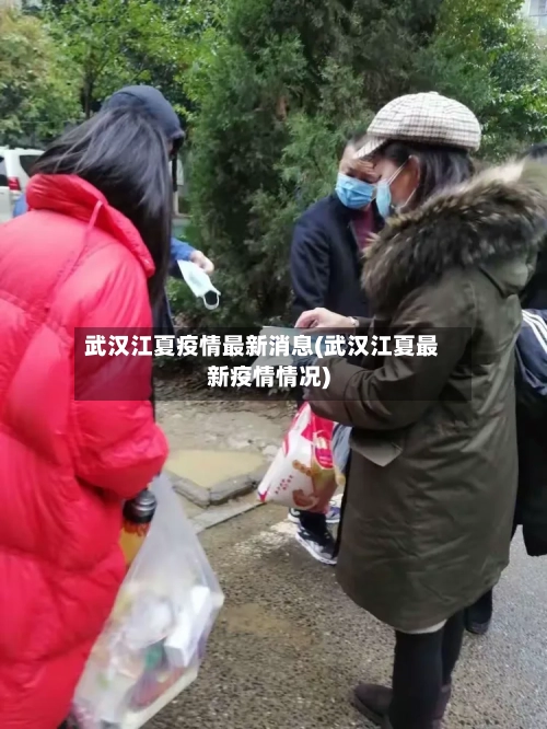 武汉江夏疫情最新消息(武汉江夏最新疫情情况)-第2张图片