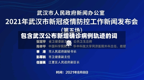 包含武汉公布新增确诊病例轨迹的词条
