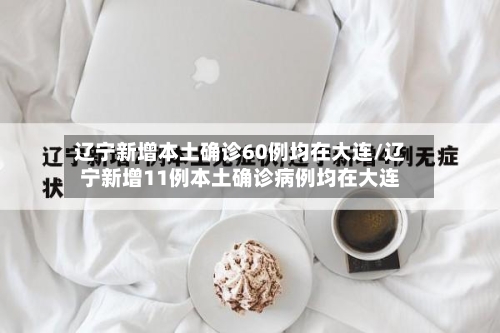 辽宁新增本土确诊60例均在大连/辽宁新增11例本土确诊病例均在大连