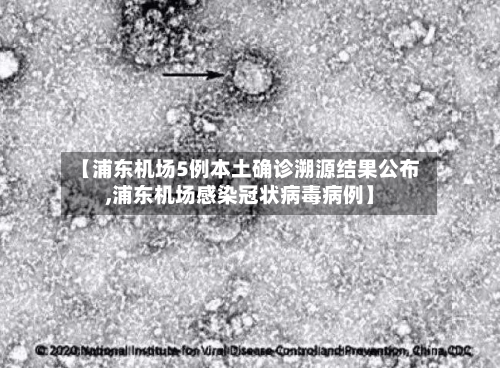 【浦东机场5例本土确诊溯源结果公布,浦东机场感染冠状病毒病例】-第2张图片