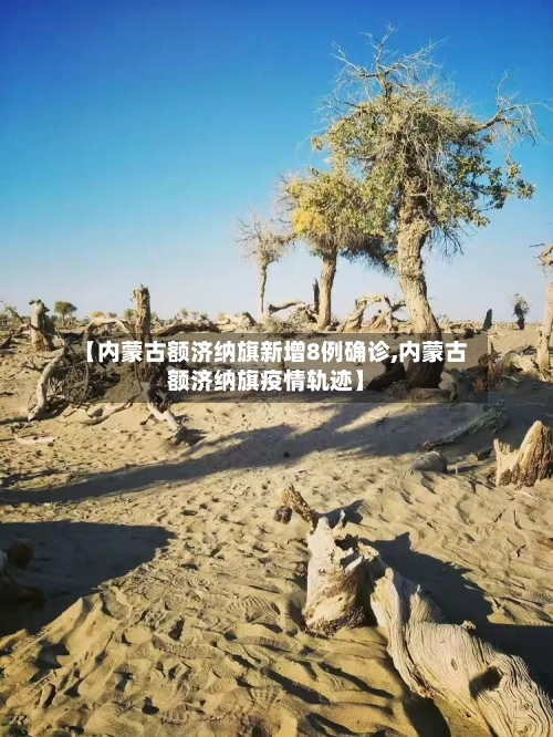 【内蒙古额济纳旗新增8例确诊,内蒙古额济纳旗疫情轨迹】