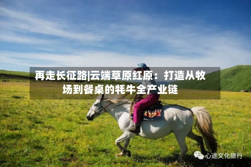 再走长征路|云端草原红原:打造从牧场到餐桌的牦牛全产业链-第2张图片