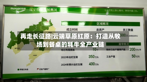 再走长征路|云端草原红原:打造从牧场到餐桌的牦牛全产业链-第3张图片