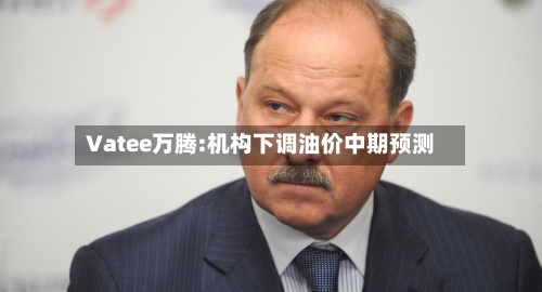 Vatee万腾:机构下调油价中期预测-第2张图片