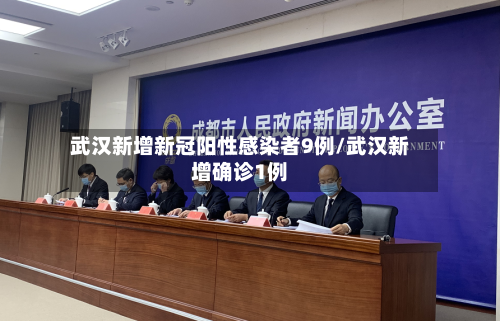 武汉新增新冠阳性感染者9例/武汉新增确诊1例-第3张图片