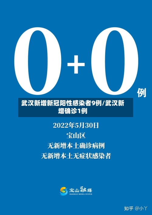 武汉新增新冠阳性感染者9例/武汉新增确诊1例-第2张图片